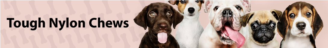 dog banner image